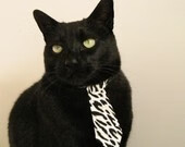 _加州硬地赛:热血拼搏,谁能摘取桂冠?_,加州t.