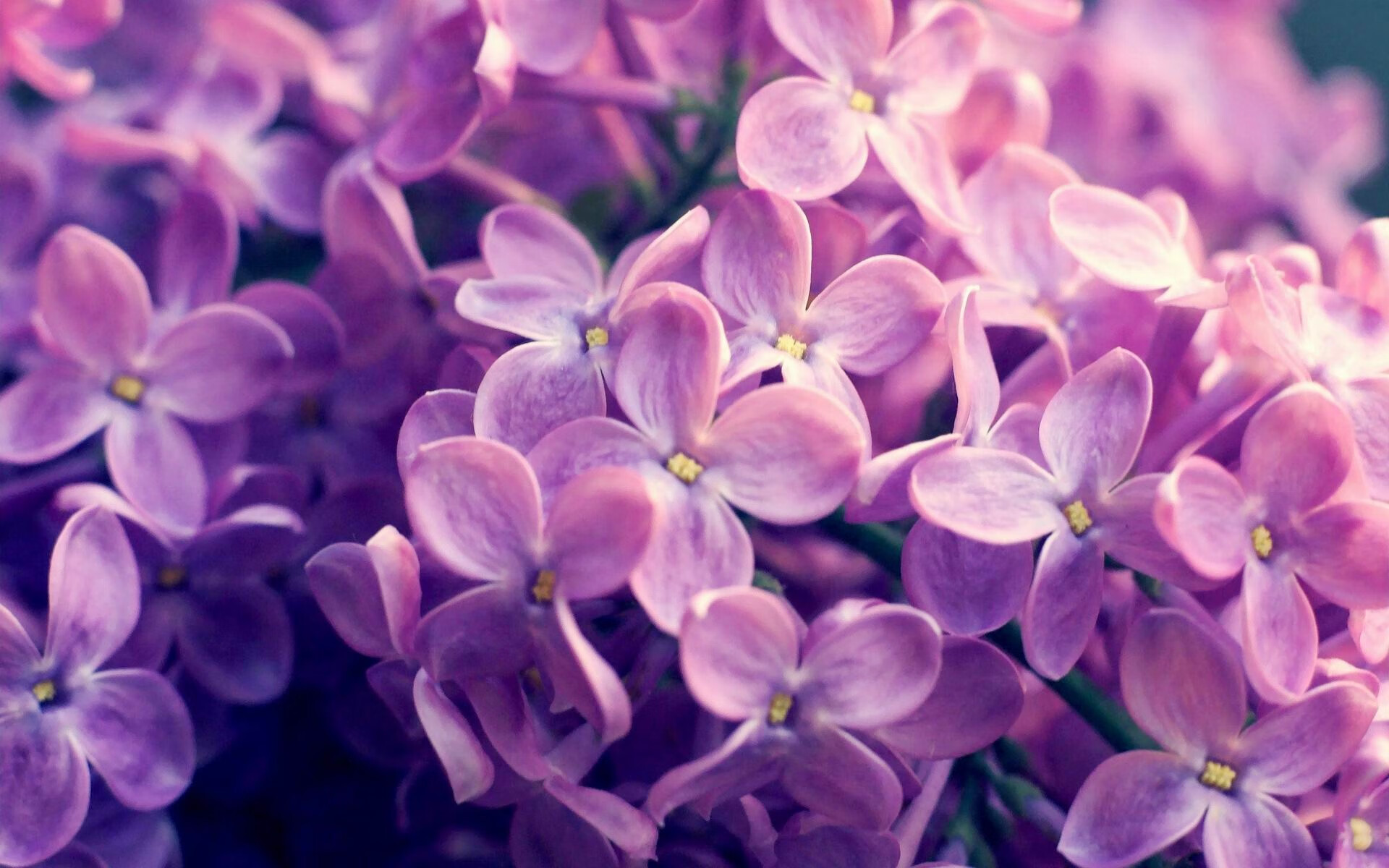 “基层青训高速推进，基层足球蹿升新高度”，青年基层锻炼