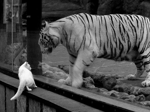 九游娱乐官网 (JIUYOU)-“球场风云：最新赛季的战绩排名全解析”，球场风云剧情攻略