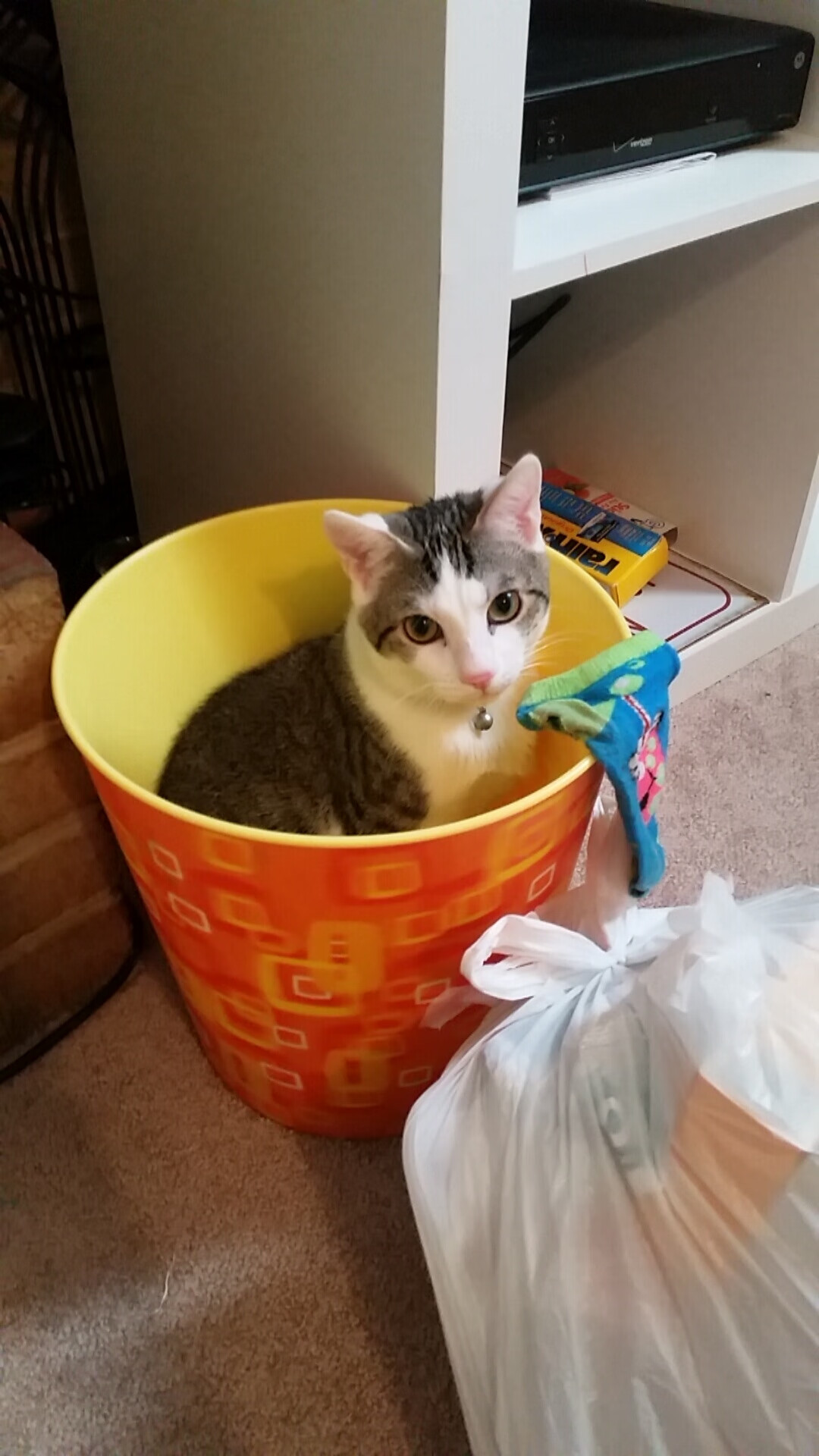 《王者荣耀官方超级联赛,冠军归属悬念重重》,王者荣耀联赛冠军是谁