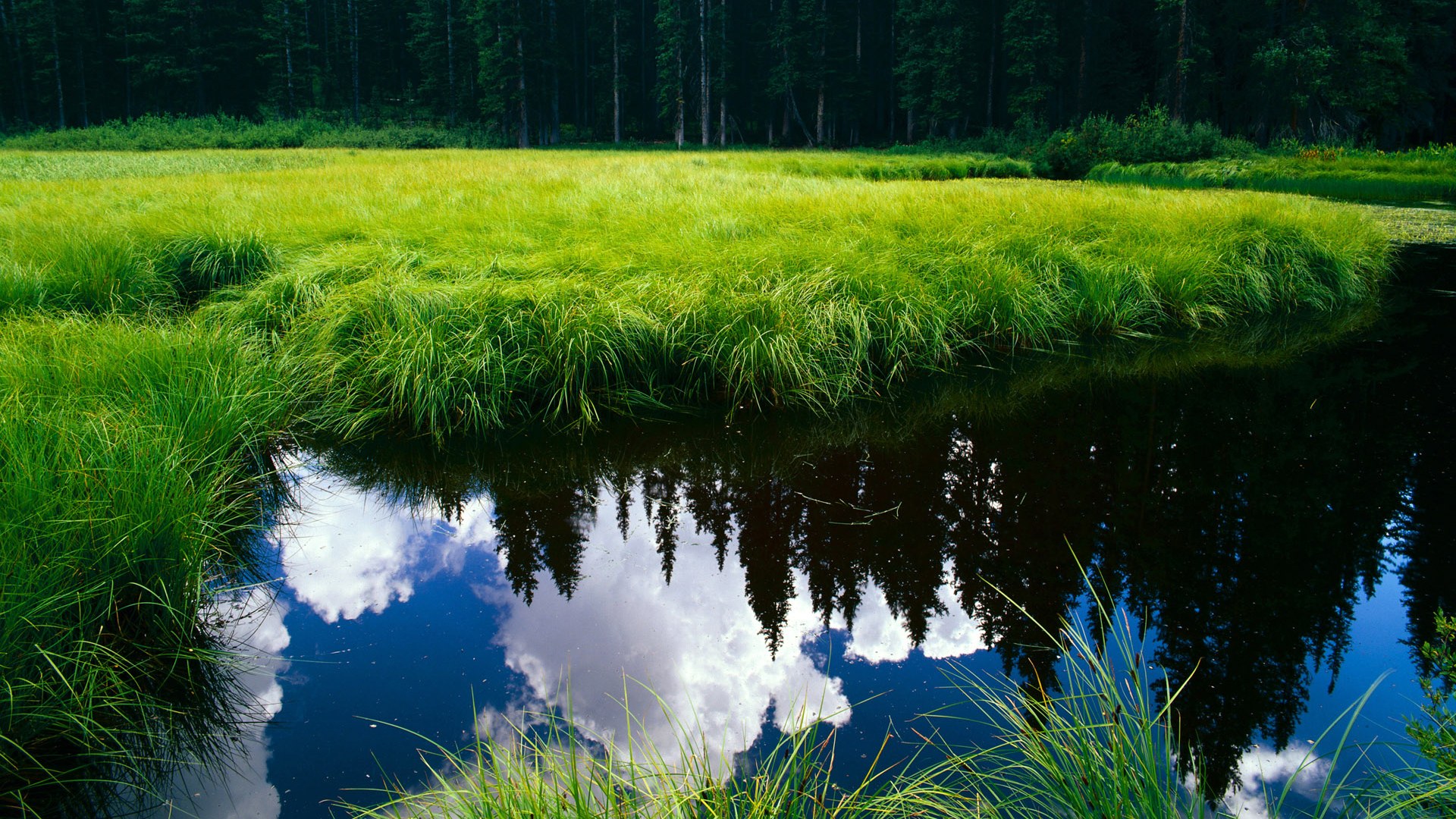 Jiuyou-当红战术：如何打破对手防线？，如何一招打败对手