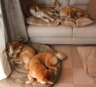 九游9游-特色青训“科创+产业+文化”融合发展模式在行业中不断深化