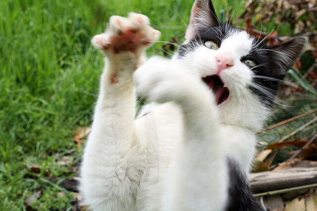 穿越火线 选手操作水平提升,穿越火线职业选手怎么训练