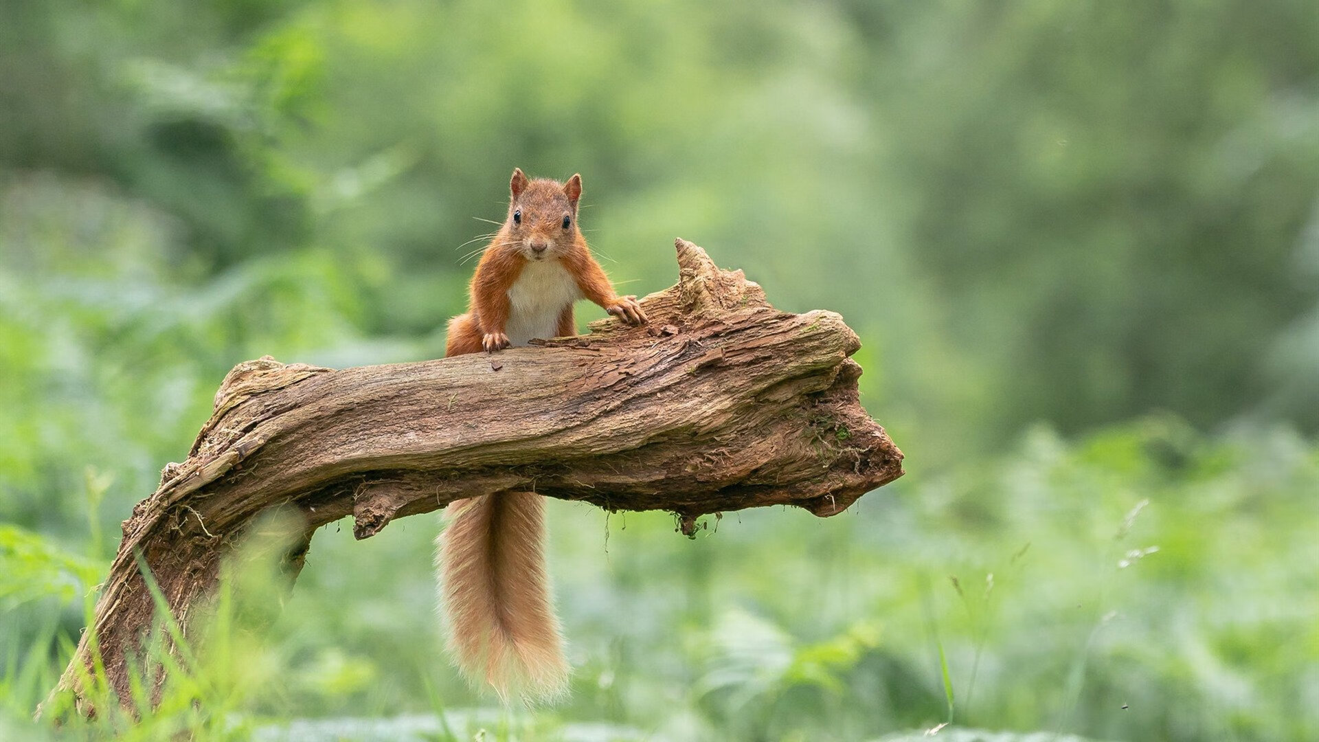 赛事场馆智能安全检测平台正式投入使用,安全保障更有力,竞赛场馆