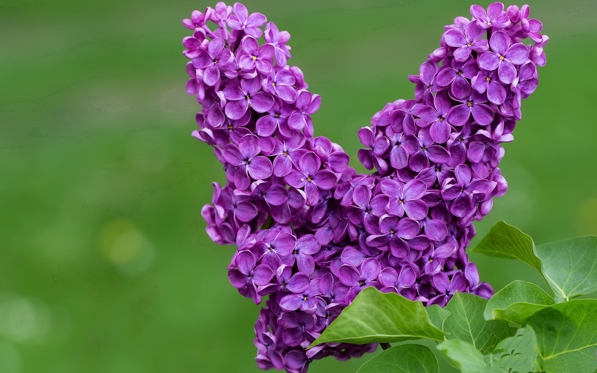 九游下载中心-逆境中奋勇战斗，最勤奋的欧冠战士们，欧冠最伟大的逆转