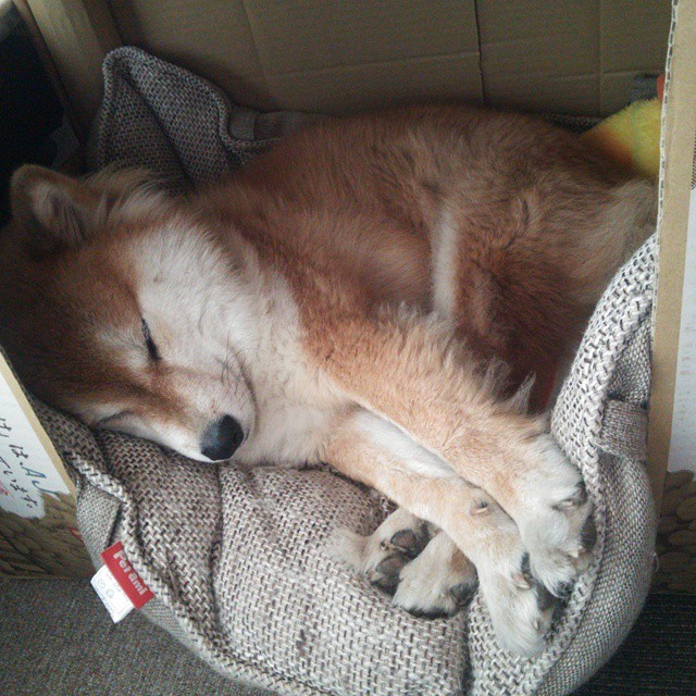 青训体系揭秘:挖掘未来足球之星的秘密武器,2020足球青训选拔