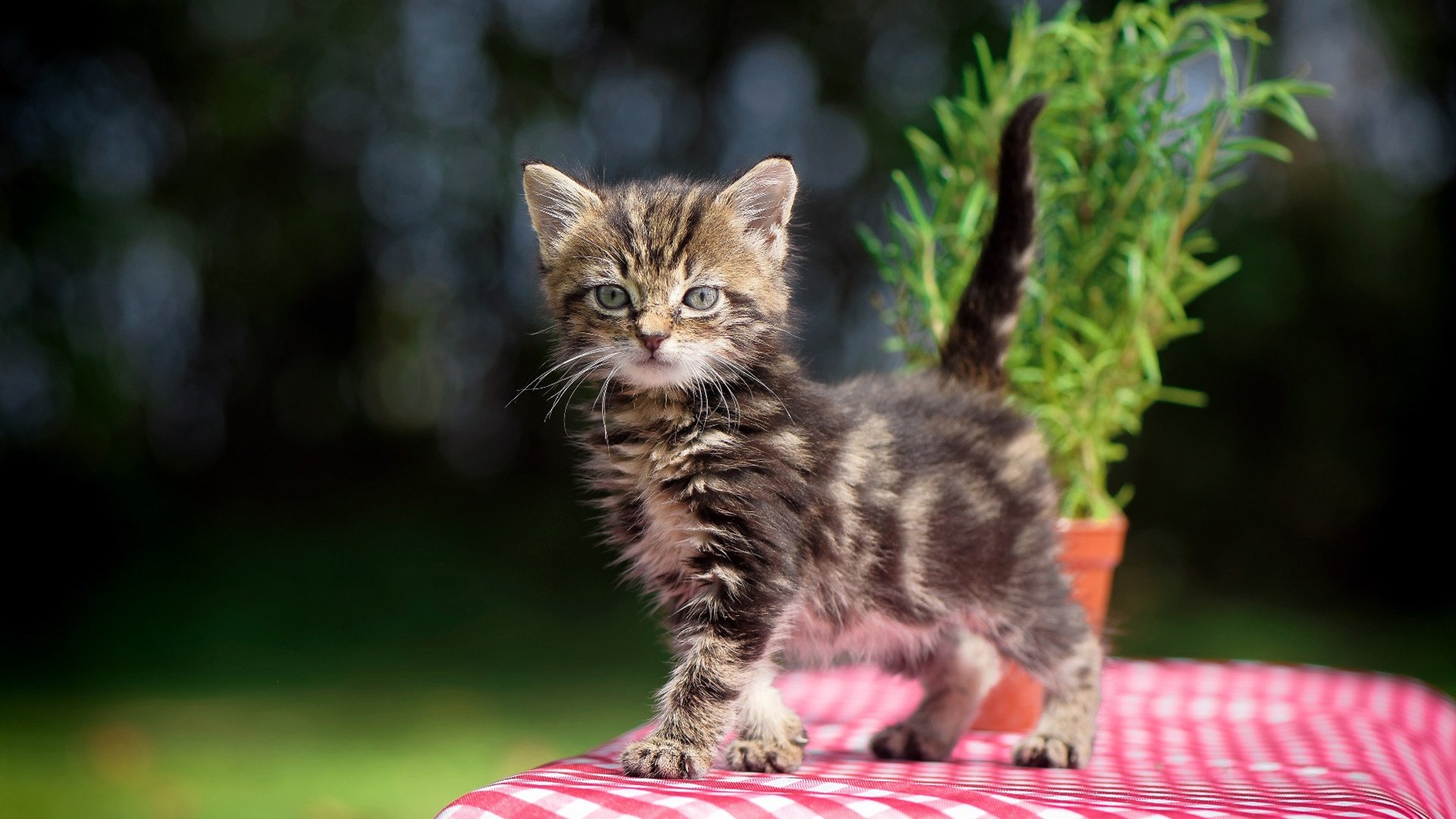 九游(jiuyou)官方网站-PSG.LGD数据统计领先联盟