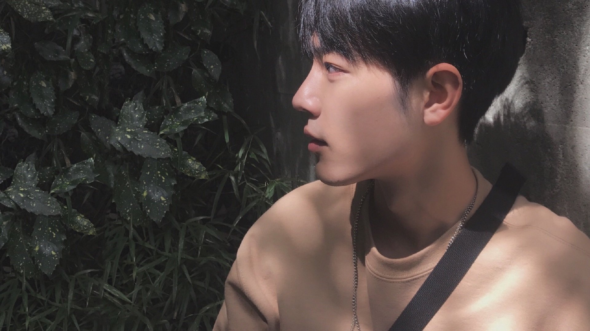 PSG.LGD新人选手表现抢眼,lgd战队前面的psg什么意思