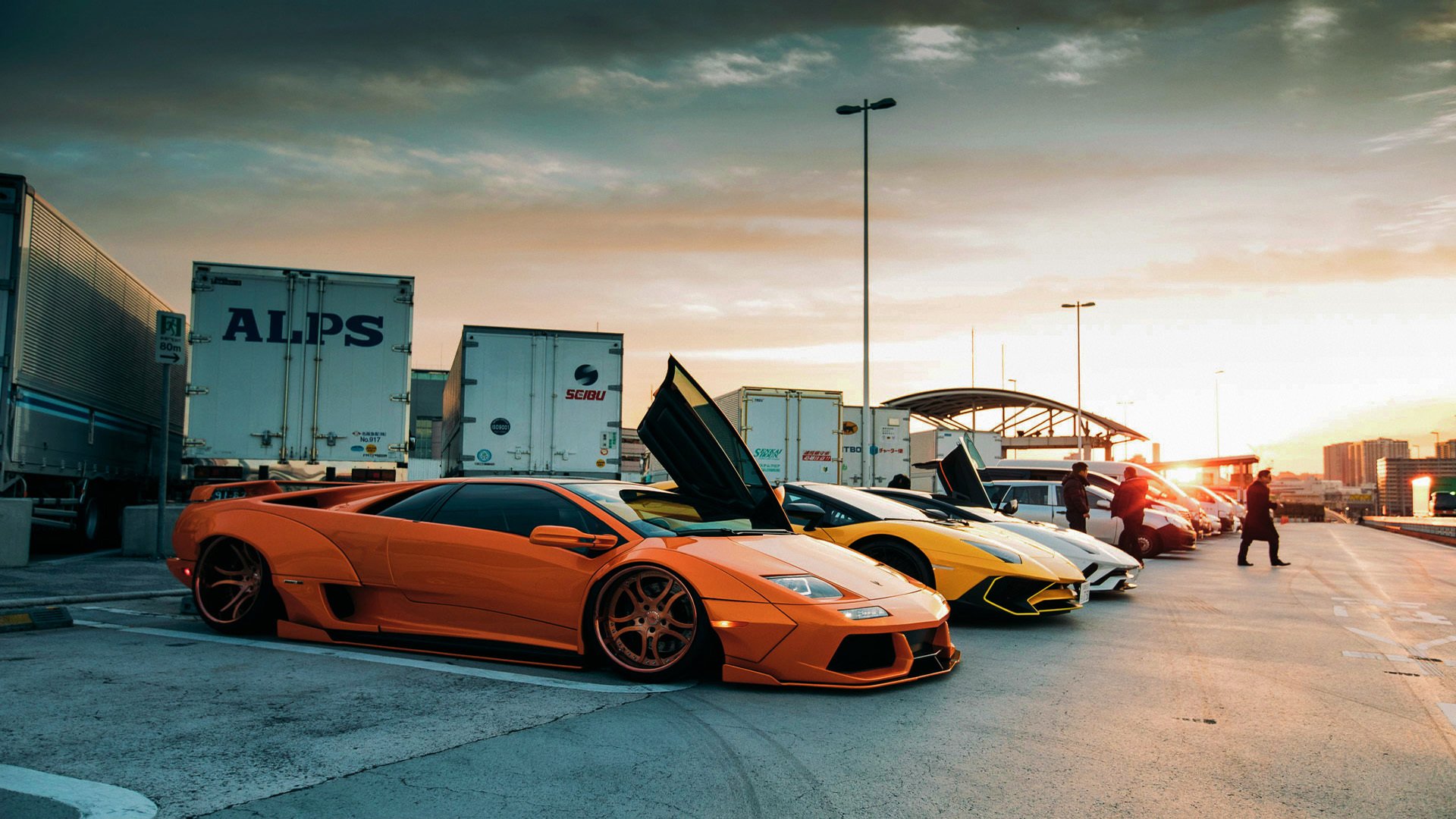 体育赛事吸引眼球,观众尽情欢乐,精彩的体育赛事的审美体验