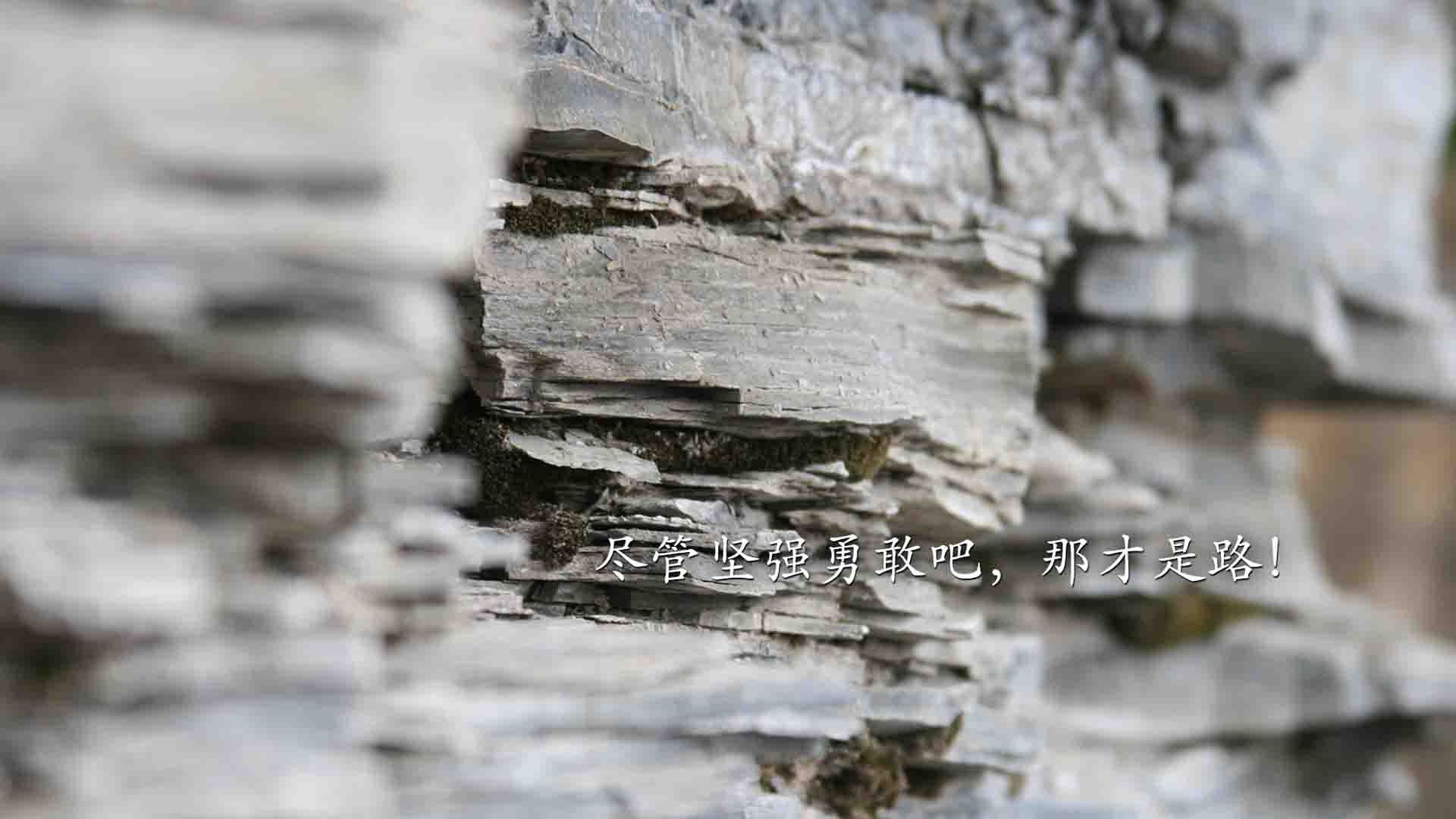 布里斯托城战术成熟,海港之队全力拼抢,港城和布里斯托