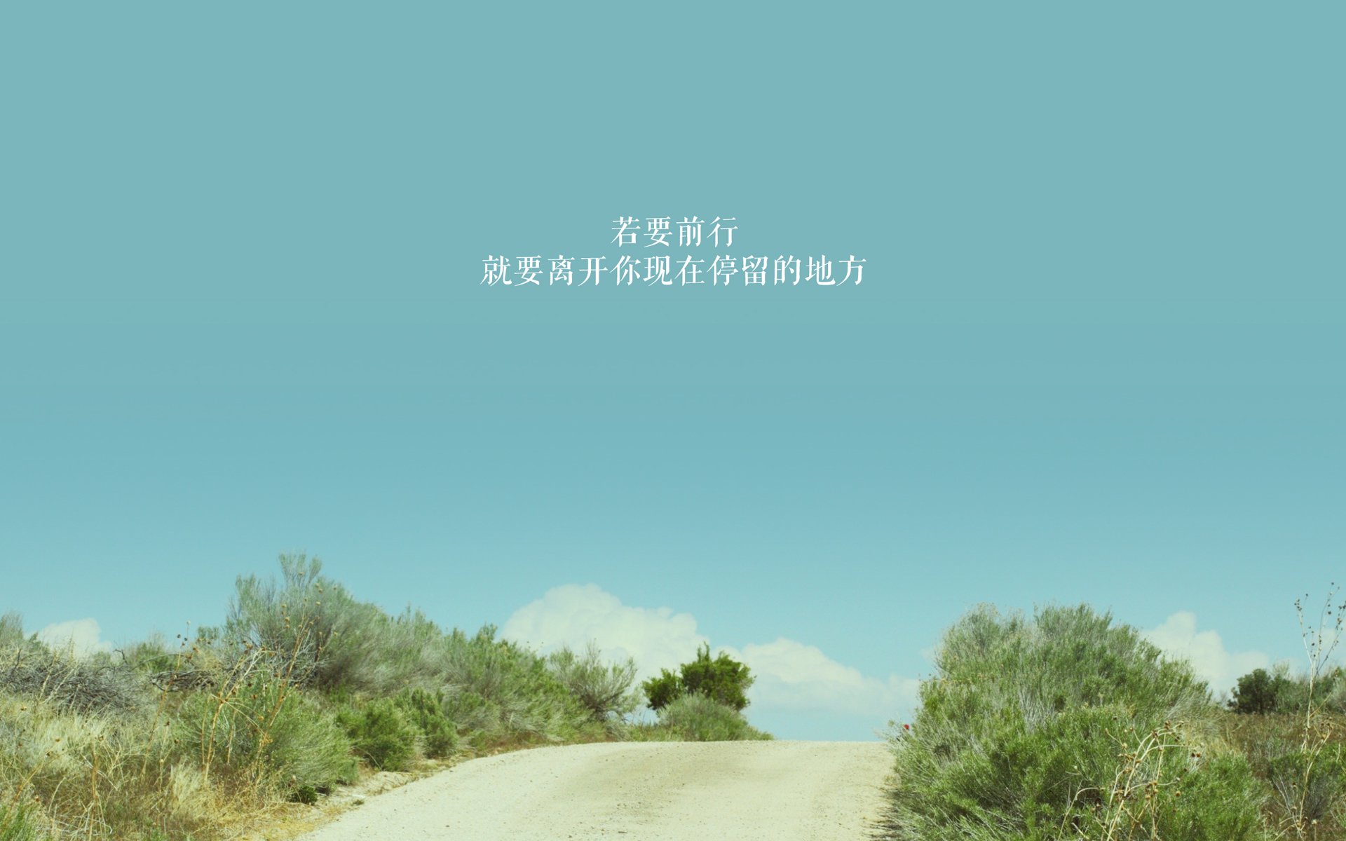 联赛赛场上发生了一场惊心动魄的比赛，比赛惨烈