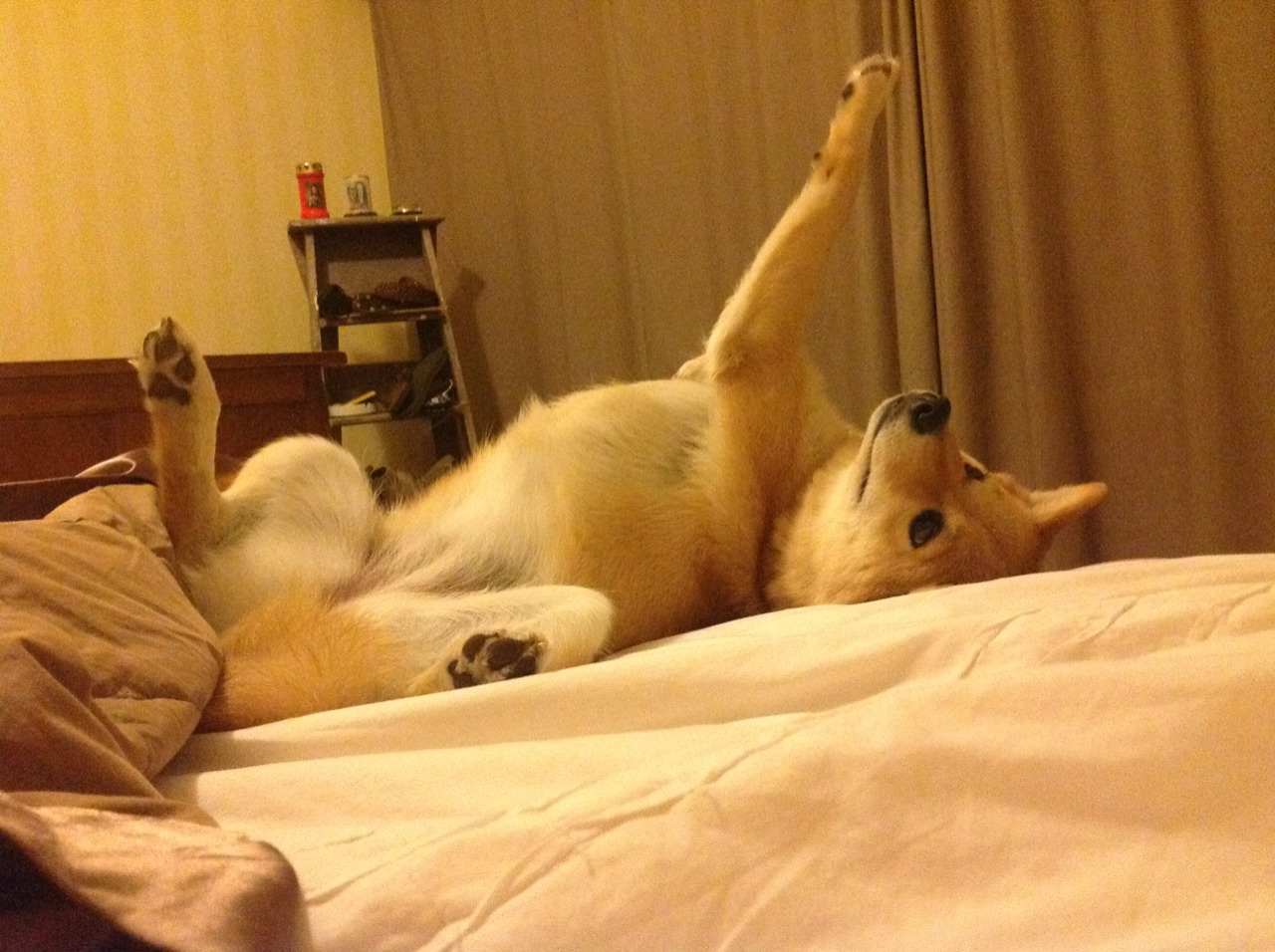 九游(jiuyou)官方网站-联赛进入关键阶段，球队火力全开，五大联赛进攻火力榜首