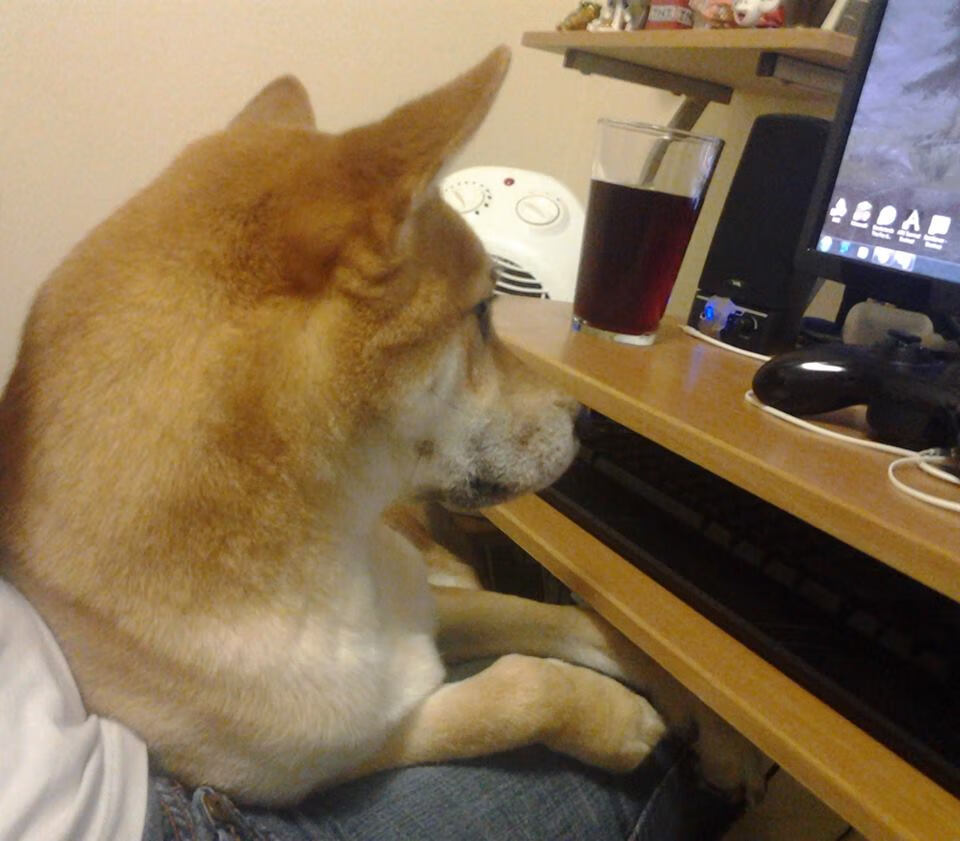 阿塞拜疆队马不停蹄!欧预赛瞩目战绩!,欧国联阿塞拜疆