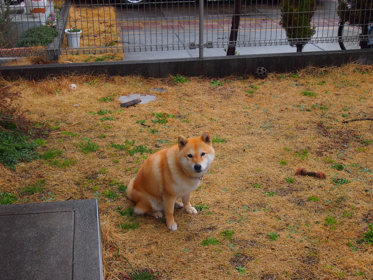 九游下载中心-英超 VAR 前后角球成功率变化实证分析，足球比赛var使用规则