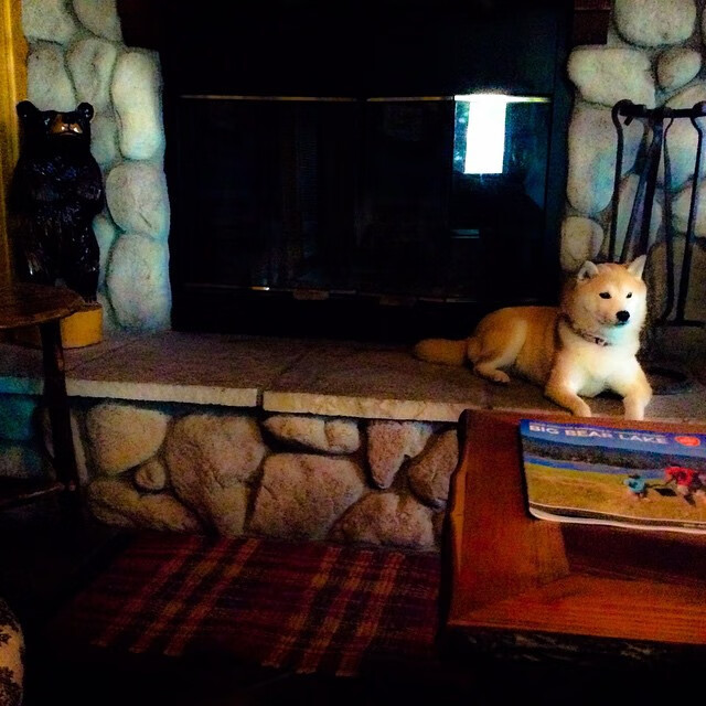 九游登录中心-德甲策略百变：阵容变换瞬间左右胜负，德甲规则