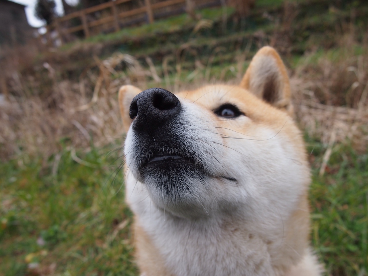 九游网页版官网-滑行段技术效率提升明显，滑行项目